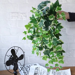 Artificial English Ivy Variegated Green Leaf/ Stem Foliage/Hanging Trailing Vine/Garland Vine