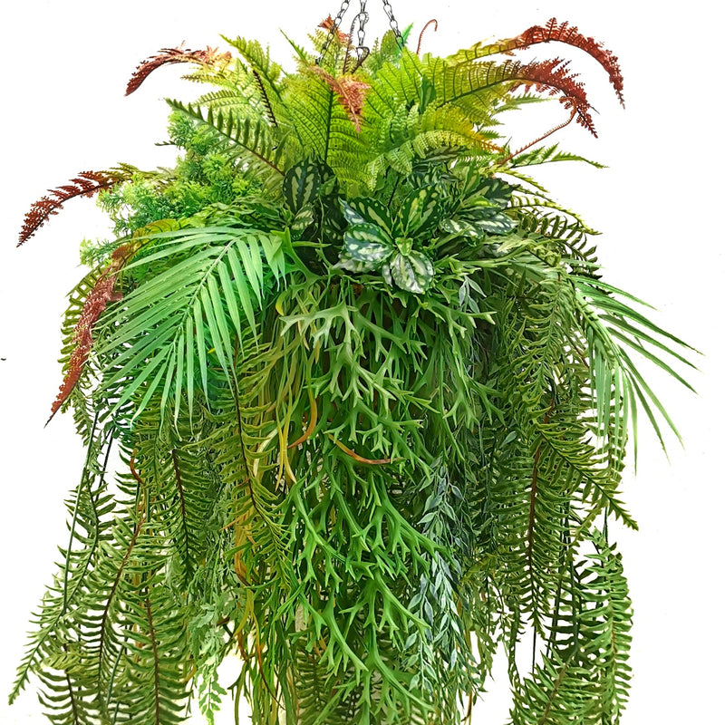 Phoenix Greenery Chandelier · Premium Evergreen Hanging Basket Arrange