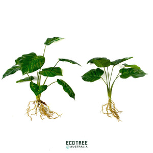 Super-Real Artificial Love-Heart Potho Plant with Roots