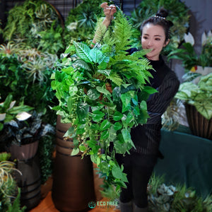 Evergreen Fern & Pothos Mixed Botanical Hanging Plants Arrangement·Artificial Hanging Basket