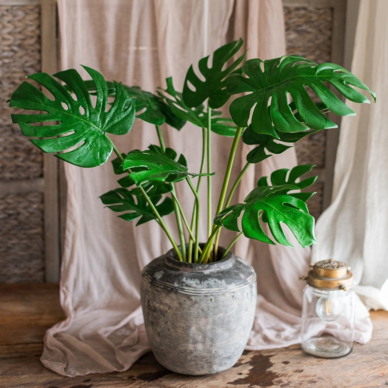 Real-Touch Lifelike Tabletop Monstera Plant with Roots-7 Leaves 60CM –  ECOTREE AU