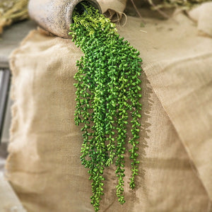 Real-Touch "String of Pearls" Trailing Stem·Foliage 75/35cm
