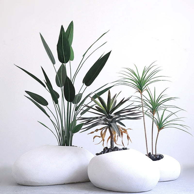 FIVE ELEMENTS PLANTS D.E.P ドラゴンエッグポット