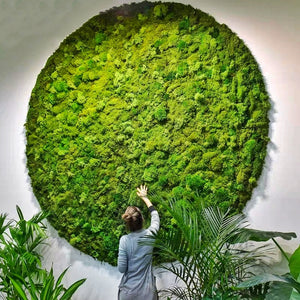 Moss Feature Wall Art