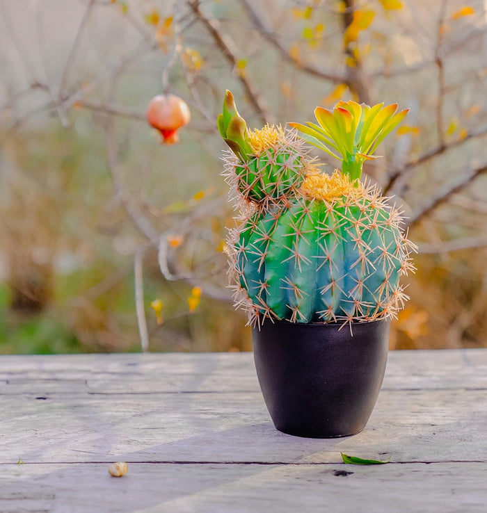 Lifelike Premium Artificial Golden Barrel Cactus 50cm