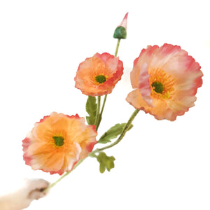 Set of 6-Lovely Silk Corn Poppy Rose·Papaver Rhoeas·Multicolor