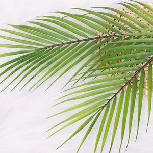 Ultra-Lifelike Real-Touch Phoenix Palm Plant 75/120cm