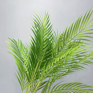 Ultra-Lifelike Real-Touch Phoenix Palm Plant 75/120cm