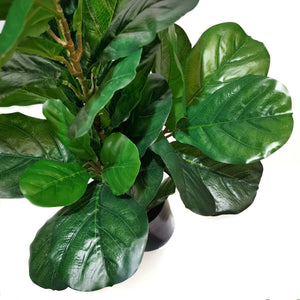 Lifelike Evergreen Fiddle Fig Plant 90CM