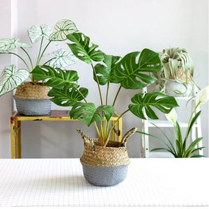 Evergreen Tabletop Artificial Monstera Plant Bunch-7 Leaves 60CM