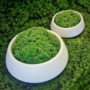 Classic Artificial Green Moss Bowl · Designer's Choice Tabletop Decor