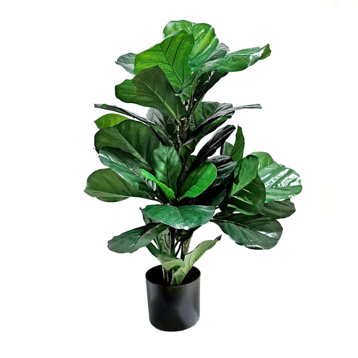 Lifelike Evergreen Fiddle Fig Plant 90CM