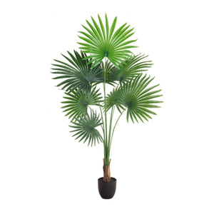 Premium Artificial Tropical Fan Palm 160cm