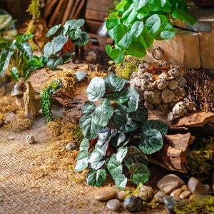 Top 10 Designer's Choice Greenery Decor·Lifelike Tabletop Foliage·Trailing Hanging Plants·Vines
