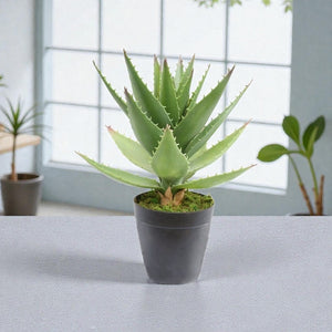 Premium Artificial Potted Aloe Vera Plant 35cm