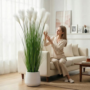 180CM Lovely Pampas Reed Grass Plant-Pure Green