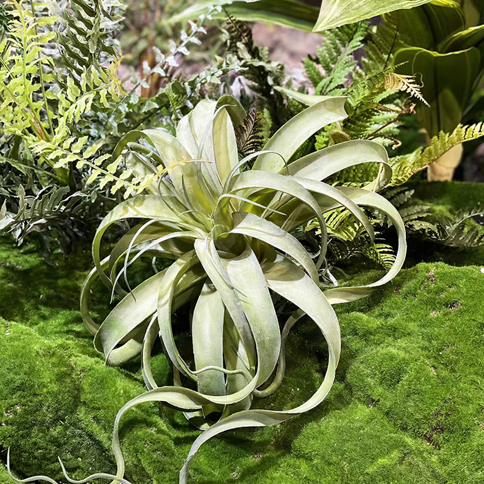 Elegant AirPlant-Premium Artificial Succulents-Frosty Green Tillandsia