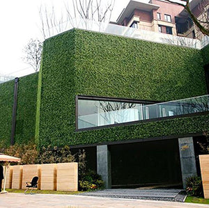 Classic Boxwood Hedge Panel/Premium Vertical Garden Wall UV Stabilised 100x100cm