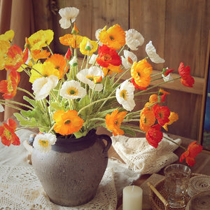 Set of 6-Lovely Silk Corn Poppy Rose·Papaver Rhoeas·Multicolor
