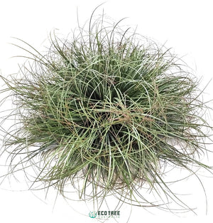 Artificial Grass Bush·Cluster·Interior Landscaping Feature Decoration