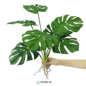 Real-Touch Lifelike Tabletop Monstera Plant with Roots-7 Leaves 60CM