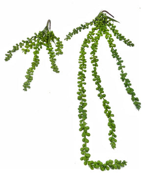 Real-Touch "String of Pearls" Trailing Stem·Foliage 75/35cm