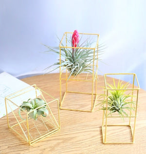 Geometry Tabletop Plant Holder·Air Plants Succulents Stand Planter