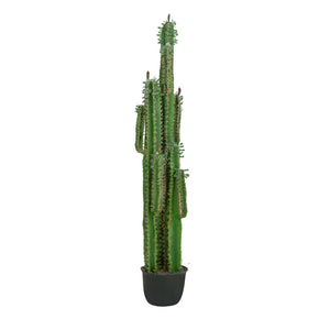 3 in1 Giant Lifelike Desert Candelabra Cactus 200cm