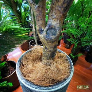 Lifelike Real-touch Artificial Dracaena Happy Plant 180cm
