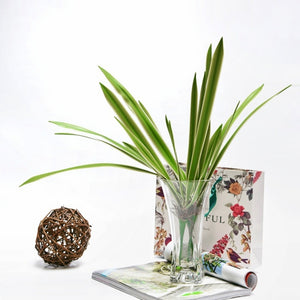2*PCS Real-Touch Cymbidium Orchid Leaves· Lifelike Boat Orchid Leaves·Tabletop Decor Plant 40cm