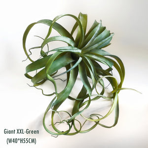 Elegant AirPlant-Premium Artificial Succulents-Frosty Green Tillandsia