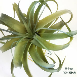 Elegant AirPlant-Premium Artificial Succulents-Frosty Green Tillandsia