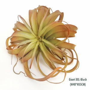 Elegant AirPlant-Artificial Succulents-Blushing Tillandsia XL (H30 x W35)