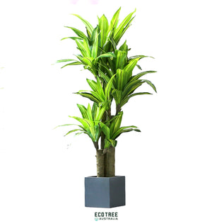 Premium Quality Lifelike Dracaena Artificial Happy Plant 130cm 3 Trunk