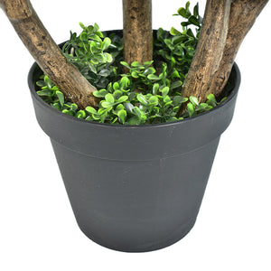 🔥NEW ARRIVAL🌳Lovely Topiary Boxwood Plants 90cm UV Stabilised
