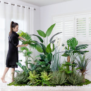Interior landscaping Package A · Interior Garden · Tropical Bliss