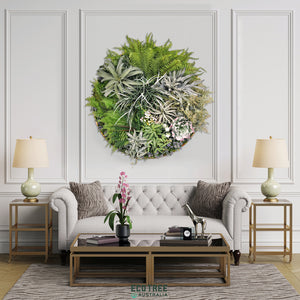 Deluxe Artificial Tillandsia (Air Plant) Succulents Vertical Garden Disc Wall Art