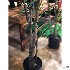 Lovely Lifelike Yucca·Artificial Slim Trunk Dracaena Plants 160cm