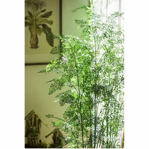 Real-touch Premium Artificial Delta Maidenhair Fern Plant 150cm