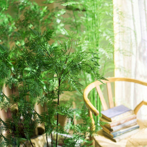 Elegant Lifelike Asparagus Lace Fern·Bonsai Plant 100cm