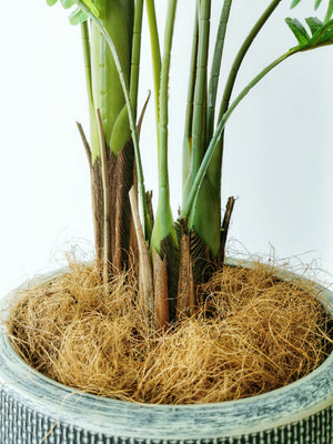 Evergreen Artificial Tropical Phoenix Palm 170cm