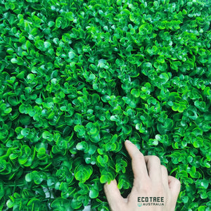 Premium Artificial Hedge Panel / Vertical Garden Wall - Spring Eucalyptus 100*100CM