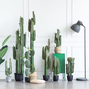 Premium Artificial Desert Candelabra Cactus-3 Size