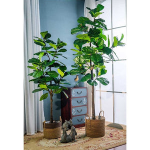 Lifelike Premium Artificial Fiddle Fig Tree - Single Trunk 180cm