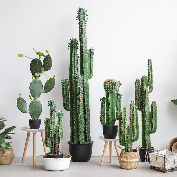 3 in1 Giant Lifelike Desert Candelabra Cactus 200cm