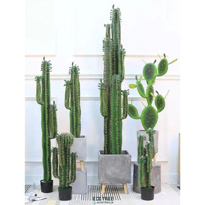 Premium Artificial Desert Candelabra Cactus-3 Size