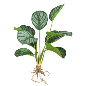 Super-Real Artificial Calathea Orbifolia Prayer's Philo Plant with Roots
