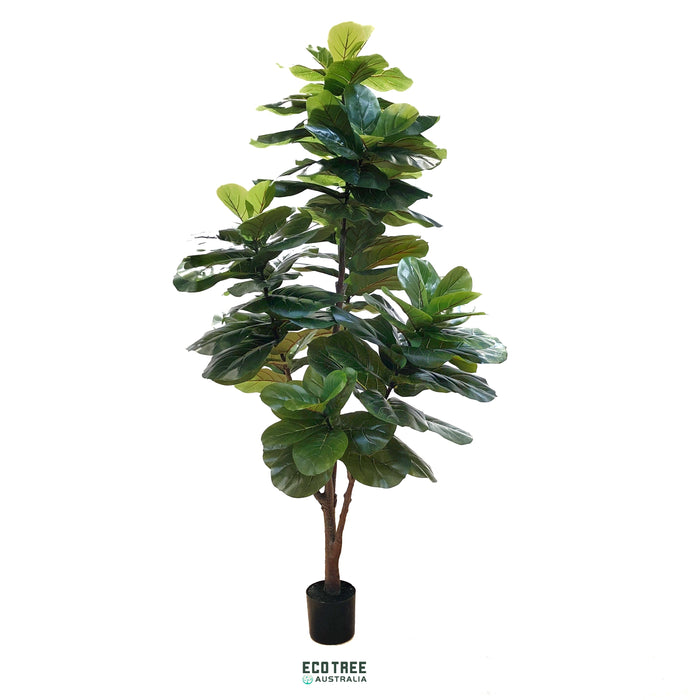 Real-touch Premium Artificial Giant Fiddle Fig Tree - Single Trunk 240cm