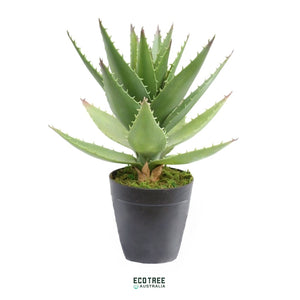 Premium Artificial Potted Aloe Vera Plant 35cm