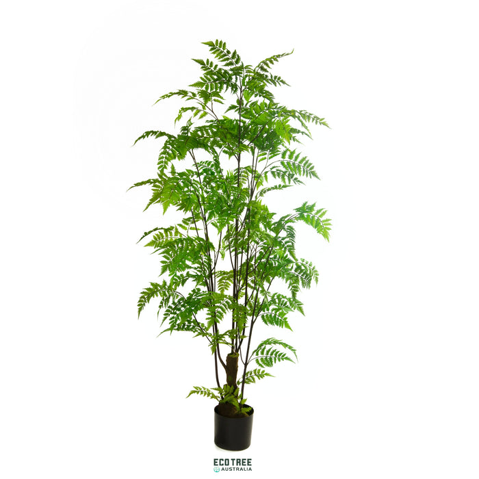 Real-touch Premium Artificial New Zealand Fern Tree·Silver Fern Plant 180cm